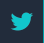 Icono Twitter